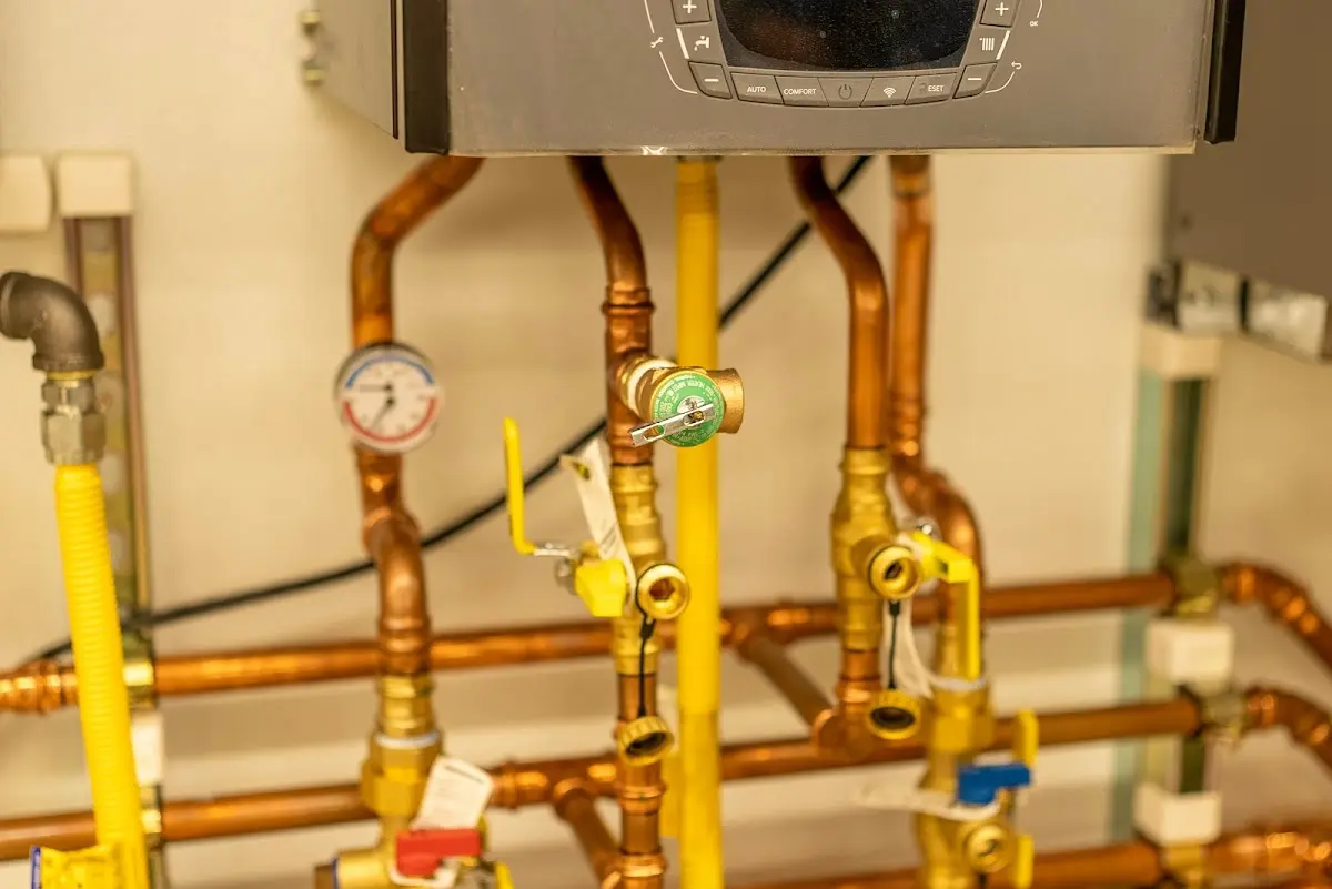 Licensed technician providing Emergency Plumbing for a homeowner in Carrollwood